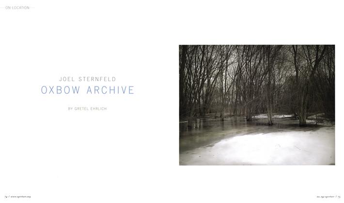 Joel Sternfeld: Oxbow Archive | Aperture | Fall 2008