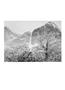 Page: - 27 | Aperture