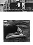 Page: - 17 | Aperture