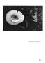 Page: - 24 | Aperture