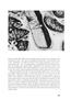 Page: - 30 | Aperture