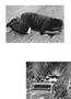 Page: - 35 | Aperture