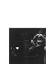 Page: - 17 | Aperture