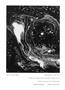 Page: - 40 | Aperture