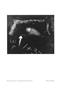Page: - 15 | Aperture