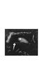 Page: - 16 | Aperture