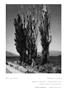 Page: - 48 | Aperture