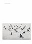 Page: - 16 | Aperture