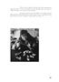 Page: - 36 | Aperture