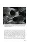 Page: - 27 | Aperture