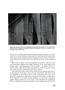 Page: - 28 | Aperture