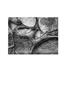 Page: - 29 | Aperture