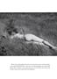 Page: - 69 | Aperture