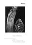 Page: - 121 | Aperture
