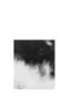 Page: - 126 | Aperture