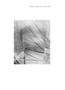 Page: - 127 | Aperture