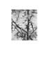 Page: - 128 | Aperture