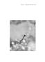 Page: - 129 | Aperture