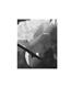 Page: - 132 | Aperture