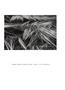 Page: - 152 | Aperture