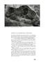 Page: - 170 | Aperture