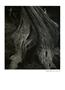 Page: - 29 | Aperture