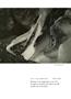 Page: - 43 | Aperture