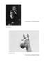 Page: - 58 | Aperture