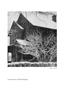 Page: - 59 | Aperture