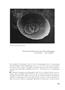 Page: - 78 | Aperture