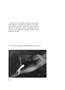 Page: - 82 | Aperture