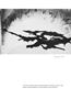 Page: - 83 | Aperture