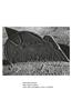 Page: - 132 | Aperture