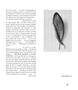 Page: - 41 | Aperture