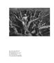 Page: - 6 | Aperture