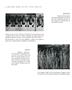 Page: - 52 | Aperture