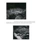 Page: - 70 | Aperture