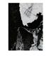 Page: - 81 | Aperture