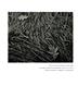 Page: - 88 | Aperture