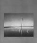 Page: - 101 | Aperture
