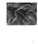 Page: - 111 | Aperture