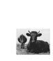 Page: - 112 | Aperture