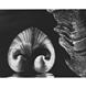 Page: - 113 | Aperture