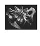 Page: - 115 | Aperture