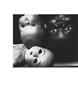 Page: - 119 | Aperture