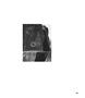 Page: - 96 | Aperture