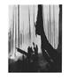 Page: - 97 | Aperture