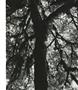 Page: - 137 | Aperture