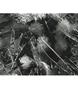 Page: - 141 | Aperture