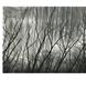 Page: - 144 | Aperture